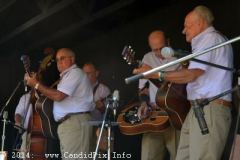 Milan Bluegrass Festival