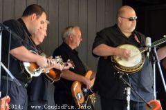 Milan Bluegrass Festival