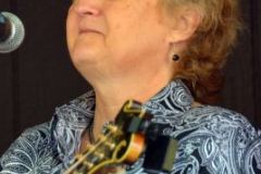 Milan Bluegrass Festival