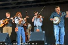 Milan Bluegrass Festival