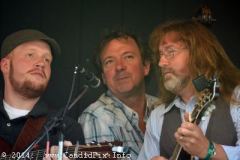 Milan Bluegrass Festival