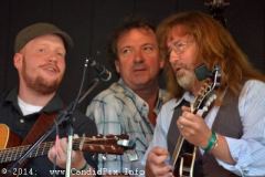 Milan Bluegrass Festival