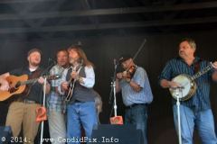 Milan Bluegrass Festival