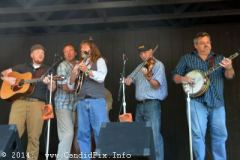 Milan Bluegrass Festival