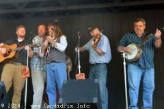 Milan Bluegrass Festival