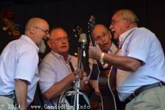 Milan Bluegrass Festival
