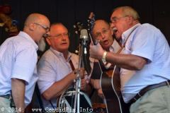 Milan Bluegrass Festival