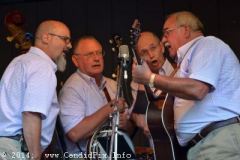 Milan Bluegrass Festival