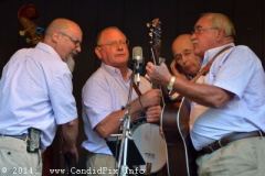 Milan Bluegrass Festival