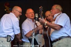 Milan Bluegrass Festival