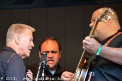 Milan Bluegrass Festival