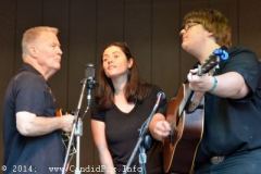 Milan Bluegrass Festival