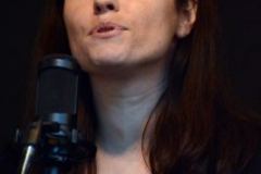 Milan Bluegrass Festival