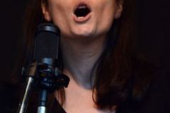 Milan Bluegrass Festival