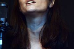 Milan Bluegrass Festival