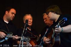 Milan Bluegrass Festival