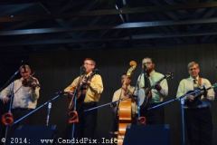 Milan Bluegrass Festival