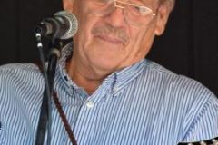 Milan Bluegrass Festival