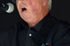 Milan Bluegrass Festival