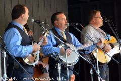 Milan Bluegrass Festival