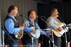 Milan Bluegrass Festival