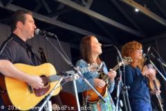 Milan Bluegrass Festival