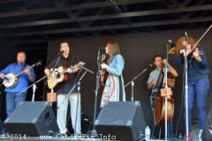 Milan Bluegrass Festival