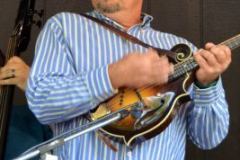 Milan Bluegrass Festival