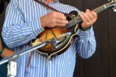 Milan Bluegrass Festival