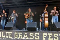 Milan Bluegrass Festival
