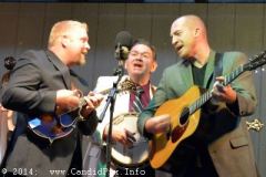 Milan Bluegrass Festival