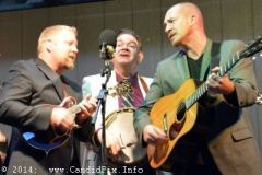Milan Bluegrass Festival
