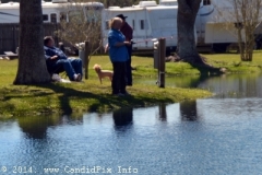Roscoe Canady Memorial Bluegrass Festival 2104