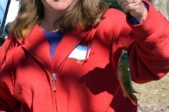 Roscoe Canady Memorial Bluegrass Festival 2104