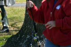Roscoe Canady Memorial Bluegrass Festival 2104