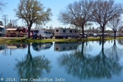 Roscoe Canady Memorial Bluegrass Festival 2104