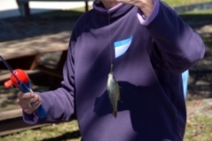 Roscoe Canady Memorial Bluegrass Festival 2104