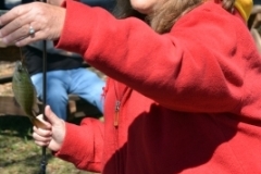 Roscoe Canady Memorial Bluegrass Festival 2104