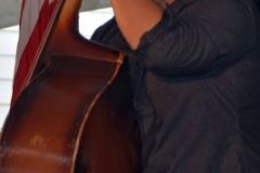 Parade of Stars 19 annual 2015