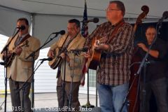 Parade of Stars 19 annual 2015