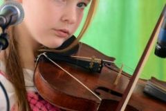 Blissfield Bluegrass on the River 2015