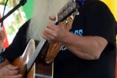 Blissfield Bluegrass on the River 2015