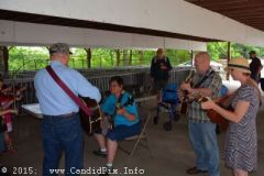 Charlotte Bluegrass Festival 2015