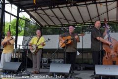Charlotte Bluegrass Festival 2015