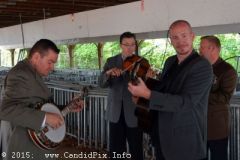 Charlotte Bluegrass Festival 2015