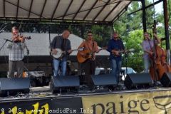 Charlotte Bluegrass Festival 2015
