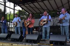 Charlotte Bluegrass Festival 2015