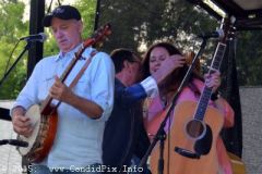 Charlotte Bluegrass Festival 2015