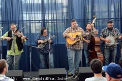 IBMA Business convention