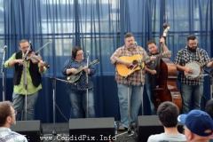 IBMA Business convention